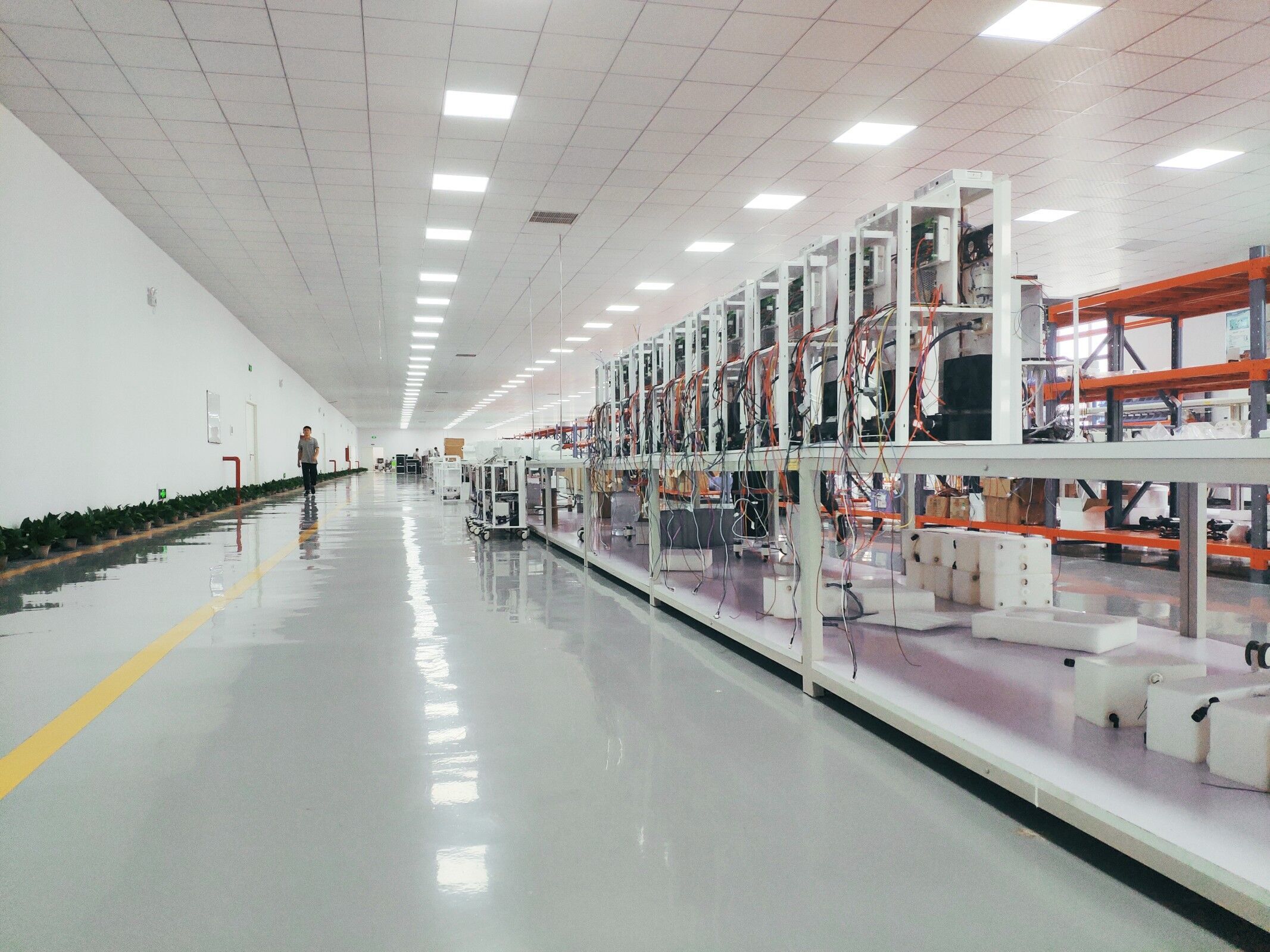 2940nm Erbium Yag Laser machine.jpg